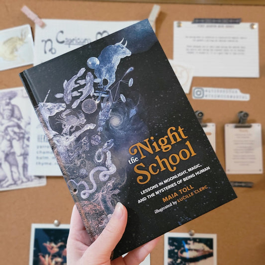 Book Review | The Night School
